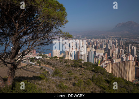 Ansicht der Levante Strand Vorder- und Poniente Strand im Hintergrund, Benidorm Stockfoto