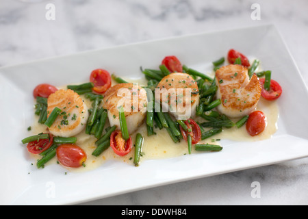 Jakobsmuscheln mit Sellerie Wurzeln pürieren, Gartenbohnen Vert, Traube Tomaten und Schnittlauch Beurre Blanc. Stockfoto