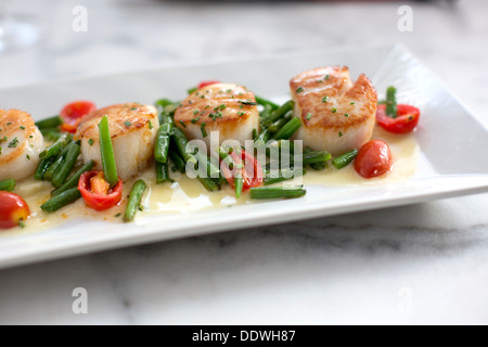 Jakobsmuscheln mit Sellerie Wurzeln pürieren, Gartenbohnen Vert, Traube Tomaten und Schnittlauch Beurre Blanc. Stockfoto