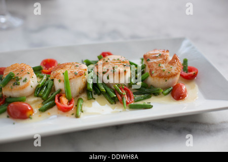 Jakobsmuscheln mit Sellerie Wurzeln pürieren, Gartenbohnen Vert, Traube Tomaten und Schnittlauch Beurre Blanc. Stockfoto