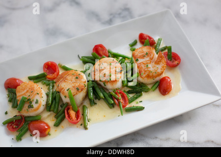 Jakobsmuscheln mit Sellerie Wurzeln pürieren, Gartenbohnen Vert, Traube Tomaten und Schnittlauch Beurre Blanc. Stockfoto