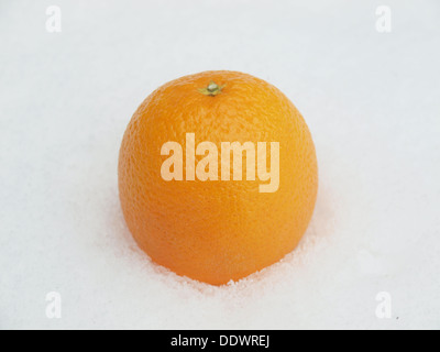 Orange auf dem Schnee Stockfoto