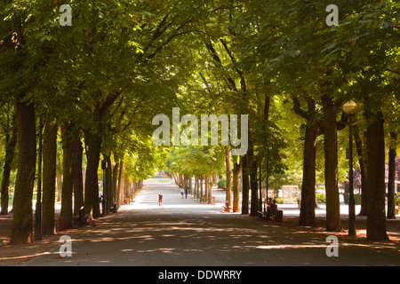 Parc De La Pipiniere in der Stadt Nancy, Frankreich. Stockfoto