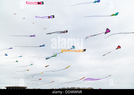 Drachen fliegen auf dem Bondi-Festival der Winde 2013, Sydney Australia Stockfoto