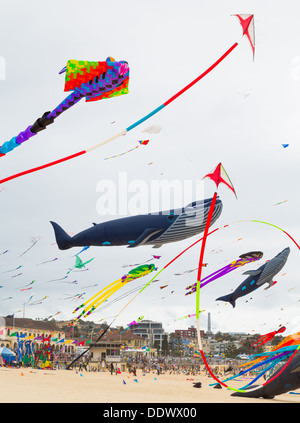 Drachen fliegen auf dem Bondi-Festival der Winde 2013, Sydney Australia Stockfoto