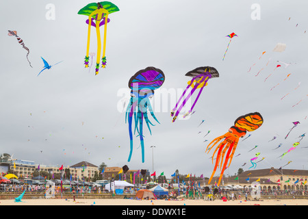 Drachen fliegen auf dem Bondi-Festival der Winde 2013, Sydney Australia Stockfoto