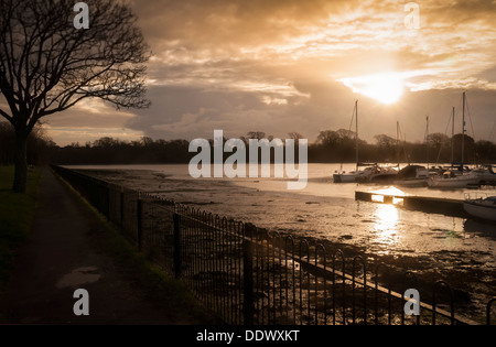 Sonnenaufgang über einem schlammigen englische Bach Stockfoto