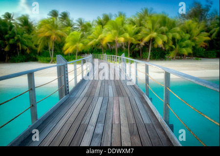 Promenade in Palmen im Wind wehen. Französisch-Polynesien Stockfoto