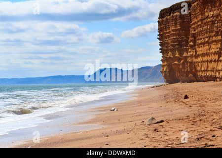 Strand und Klippen bei Burton Bradstock Dorset England UK Stockfoto