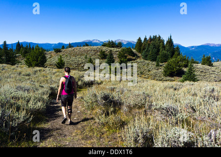 Mädchen Wanderweg Testalinden auf Mount Kobau, South Okanagan Grasland Protected Area, British Columbia, Kanada. Stockfoto