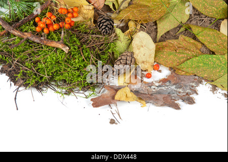 Herbst-design Stockfoto