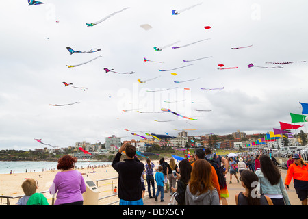 Drachen fliegen auf dem Bondi-Festival der Winde 2013, Sydney Australia Stockfoto