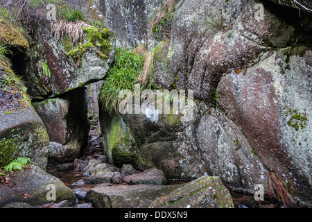 O brennen ' Mehrwertsteuer Muir Dinnet in Schottland, Schlucht in der Eiszeit gebildet. Stockfoto