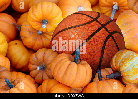 Thanksgiving Day Basketball und Herbst Sport während der Erntezeit mit einem Urlaub Turnier Ball in einem Haufen von orange Kürbisse als Konzept für eine gesunde Lebensweise und natürliche Ernährung mit Fitness durch Übung. Stockfoto