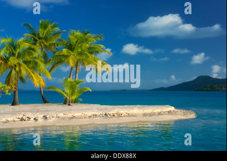 Strand mit Palmen. Bora Bora. Französisch-Polynesien. Stockfoto