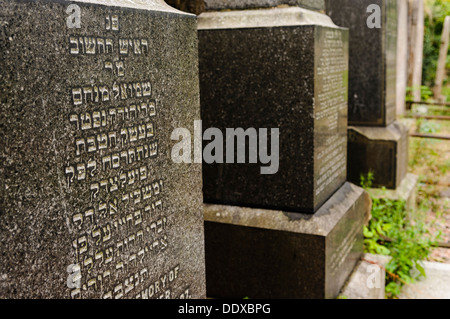 Grabsteine auf einem jüdischen Friedhof in Hebräisch geschrieben Stockfoto