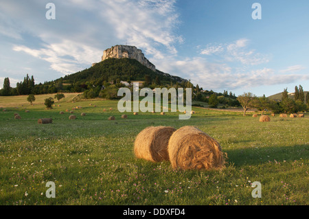 Die schwindelerregenden Klippen von Rock Vellan dominieren das Dorf Plan de Baix und umliegenden Felder, den Regionalpark Vercors, La Drôme, Frankreich. Stockfoto