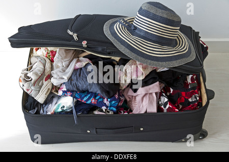 Urlaubskoffer Stockfoto