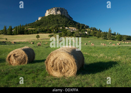 Die schwindelerregenden Klippen von Rock Vellan dominieren das Dorf Plan de Baix und umliegenden Felder, den Regionalpark Vercors, La Drôme, Frankreich. Stockfoto