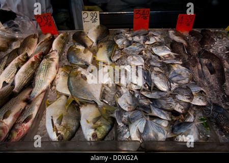 Fisch und Meeresfrüchte-Markt, East Broadway, Chinatown, New York, Vereinigte Staaten von Amerika Stockfoto