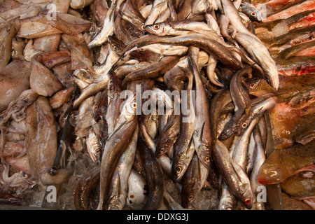 Fisch und Meeresfrüchte-Markt, East Broadway, Chinatown, New York, Vereinigte Staaten von Amerika Stockfoto