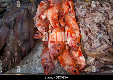 Fisch und Meeresfrüchte-Markt, East Broadway, Chinatown, New York, Vereinigte Staaten von Amerika Stockfoto