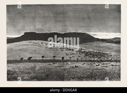DER KRIEG IM SUDAN (SUDAN): DAS SCHLACHTFELD VON ABU KLEA NACH DEM BRITISCHEN SIEG, 17. JANUAR 1885 Stockfoto