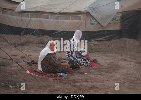 Domuz, Duhok Provinz - Nordirak (Irakisch-Kurdistan) - domuz Flüchtlinge Camp zwei Frauen und ein Kind aus den Zelten Stockfoto