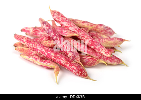 Borlotti Bohnen, Romanobohnen Stockfoto