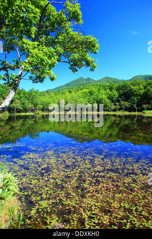 Shiretoko fünf Seen, Hokkaido Stockfoto