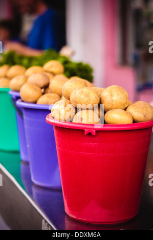 Geerntete Kartoffeln in bunten Eimern. Stockfoto