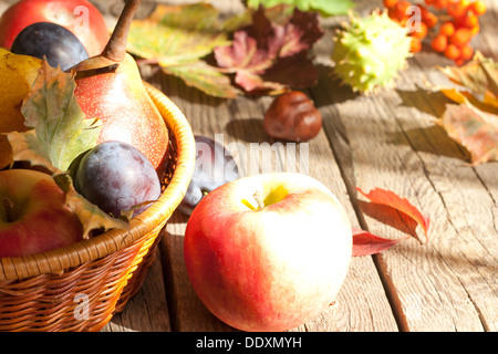 Im Herbst Apfel abstrakte Stilleben auf Boards mit Sonnenlicht Stockfoto