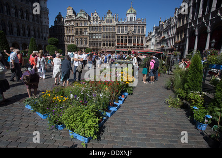 Grote Markt Grand Place Brüssel Bruxelles Belgien Belgique Belgien Europa Stockfoto