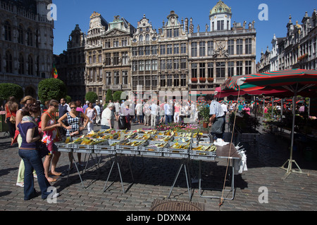 Grote Markt Grand Place Brüssel Bruxelles Belgien Belgique Belgien Europa Stockfoto