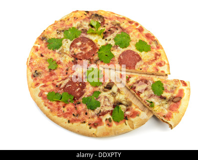 Handgemachte Pizza mit Salami, Champignons, Käse, Tomaten, Basilikum und Petersilie Kräutern Stockfoto