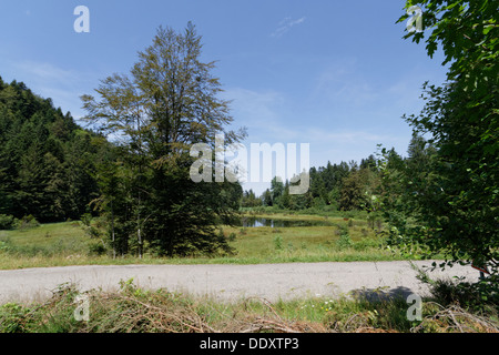 Luitel See, Isere, Frankreich. Stockfoto