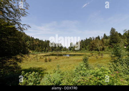 Luitel See, Isere, Frankreich. Stockfoto