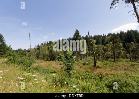 Luitel See, Isere, Frankreich. Stockfoto