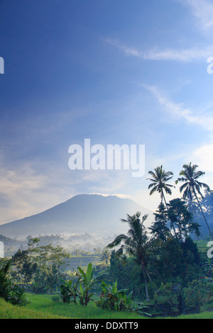 Indonesien, Bali, Sidemen Tal, Reisfelder und Gunung Agung Vulkan Stockfoto