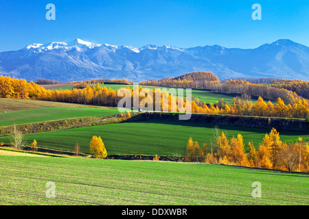 Daisetsuzan vulkanische Gruppe, Hokkaido Stockfoto