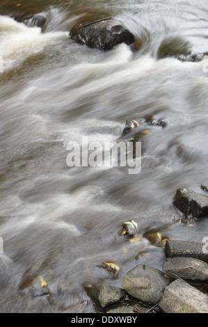 Fluss Stockfoto