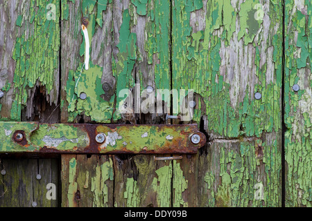 Peeling-grüne Farbe auf Holzbrettern und ein Scharnier Stockfoto