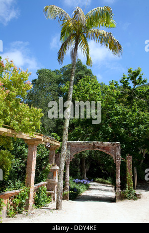 Monserrate Park, Sintra, Portugal, 2009. Künstler: Samuel Magál Stockfoto