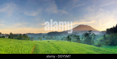 Indonesien, Bali, Sidemen Tal, Iseh, Reisfelder und Gunung Agung Vulkan Stockfoto