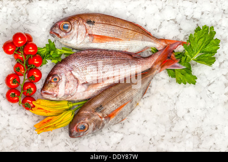 Meeresfrüchte auf Eis am Fischmarkt Stockfoto