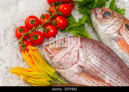 Meeresfrüchte auf Eis am Fischmarkt Stockfoto