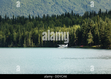 Wasserflugzeug am Gletschersee in Alaska im Sommer mit einem Berg Nadelwald im Hintergrund Stockfoto