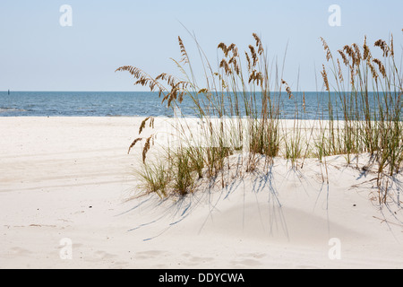 Sehafer bieten Erosionsschutz auf künstlichen Sandstrand am Golf von Mexiko in Gulfport und Biloxi, Mississippi Stockfoto