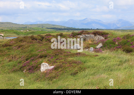 Die Twelve Bens in Connemara, Irland Stockfoto