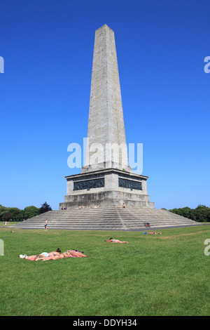 Das Wellington Monument im Phoenix Park in Dublin, Irland Stockfoto